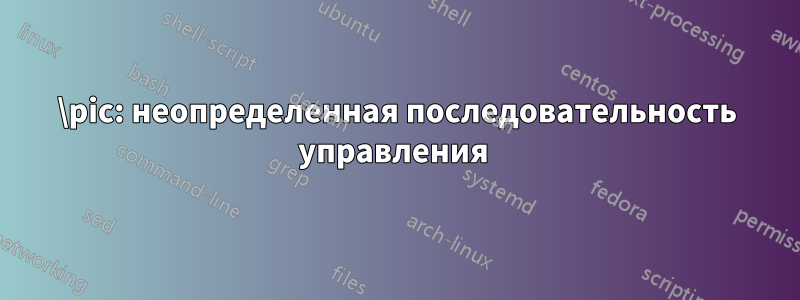 \pic: неопределенная последовательность управления 