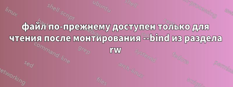 файл по-прежнему доступен только для чтения после монтирования --bind из раздела rw
