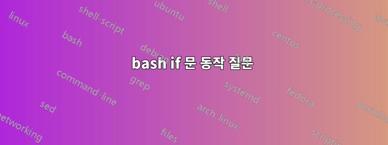bash if 문 동작 질문