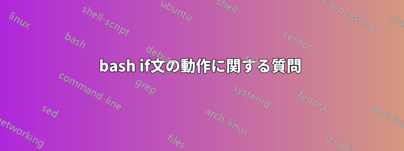 bash if文の動作に関する質問