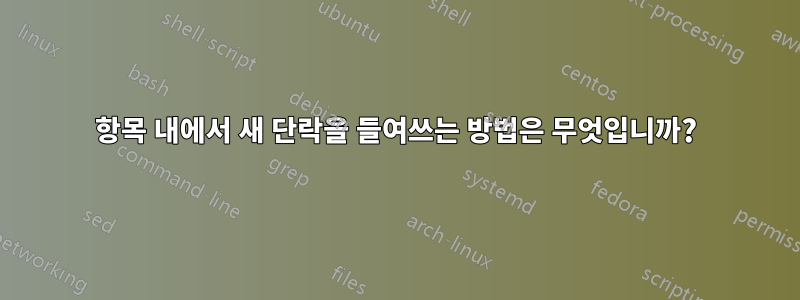 항목 내에서 새 단락을 들여쓰는 방법은 무엇입니까?