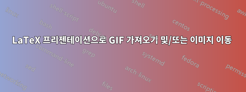 LaTeX 프리젠테이션으로 GIF 가져오기 및/또는 이미지 이동