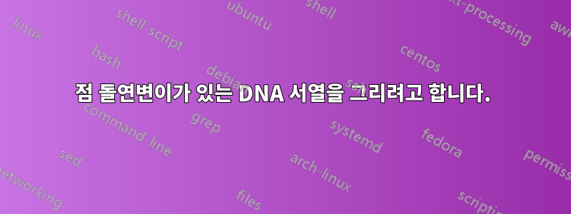 점 돌연변이가 있는 DNA 서열을 그리려고 합니다.