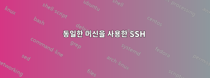 동일한 머신을 사용한 SSH