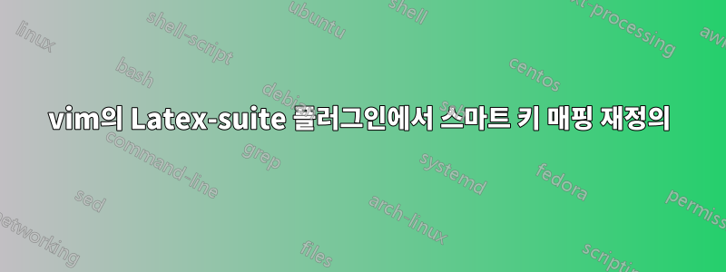 vim의 Latex-suite 플러그인에서 스마트 키 매핑 재정의