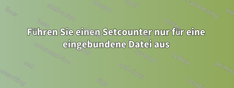 Führen Sie einen Setcounter nur für eine eingebundene Datei aus