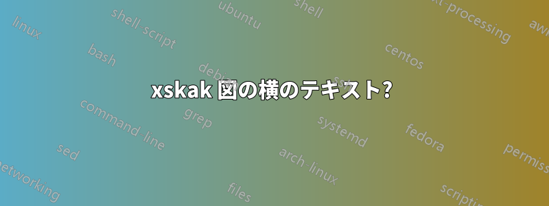 xskak 図の横のテキスト?