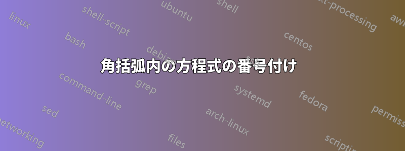 角括弧内の方程式の番号付け 