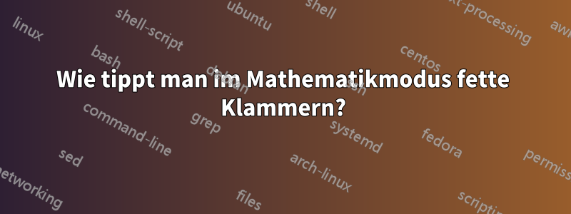 Wie tippt man im Mathematikmodus fette Klammern?