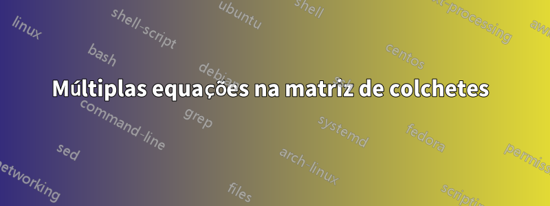 Múltiplas equações na matriz de colchetes 