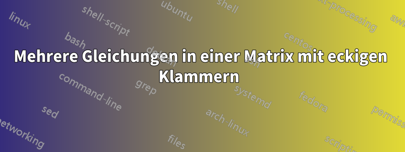 Mehrere Gleichungen in einer Matrix mit eckigen Klammern 