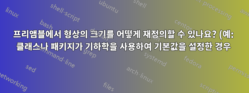프리앰블에서 형상의 크기를 어떻게 재정의할 수 있나요? (예: 클래스나 패키지가 기하학을 사용하여 기본값을 설정한 경우)