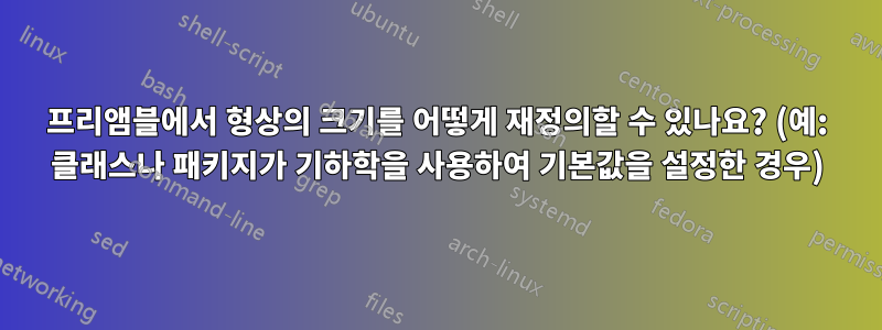 프리앰블에서 형상의 크기를 어떻게 재정의할 수 있나요? (예: 클래스나 패키지가 기하학을 사용하여 기본값을 설정한 경우)