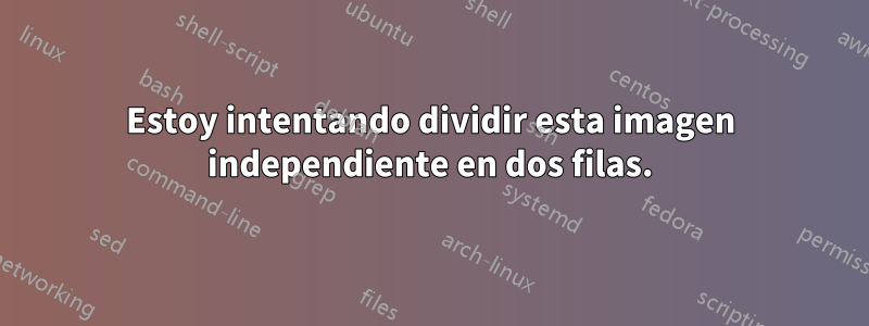 Estoy intentando dividir esta imagen independiente en dos filas.