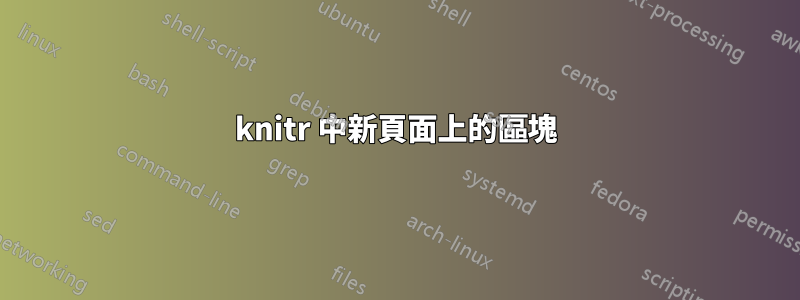 knitr 中新頁面上的區塊