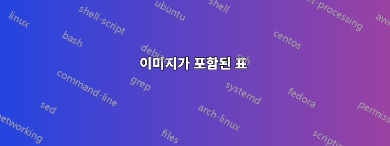 이미지가 포함된 표