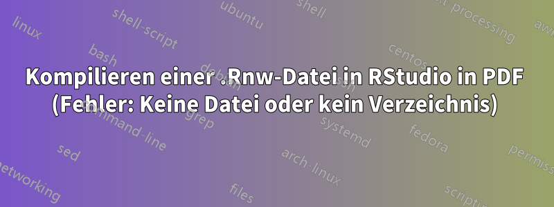 Kompilieren einer .Rnw-Datei in RStudio in PDF (Fehler: Keine Datei oder kein Verzeichnis)