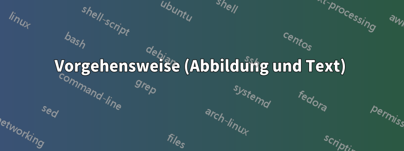 Vorgehensweise (Abbildung und Text)