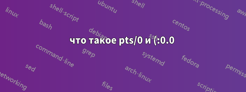 что такое pts/0 и (:0.0) в linux при вводе who am i