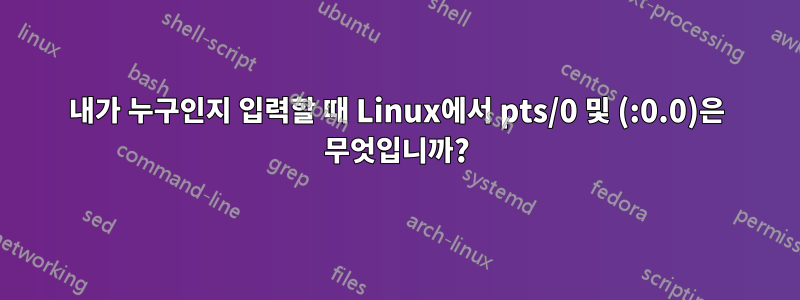 내가 누구인지 입력할 때 Linux에서 pts/0 및 (:0.0)은 무엇입니까?