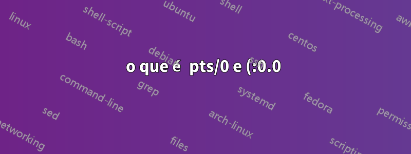 o que é pts/0 e (:0.0) no linux ao digitar quem sou eu