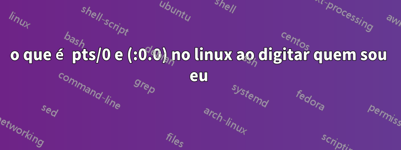 o que é pts/0 e (:0.0) no linux ao digitar quem sou eu