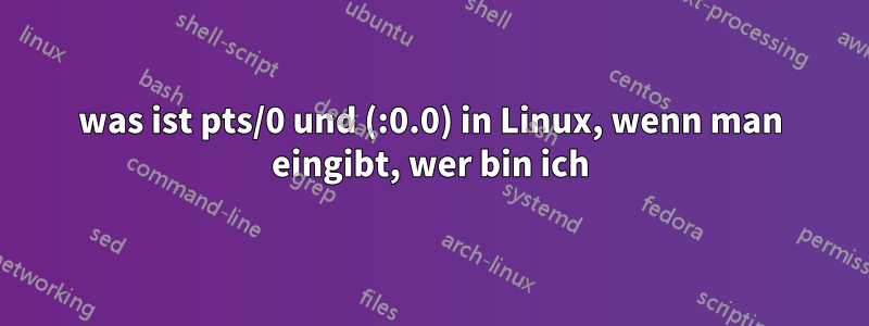 was ist pts/0 und (:0.0) in Linux, wenn man eingibt, wer bin ich