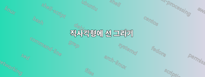 직사각형에 선 그리기