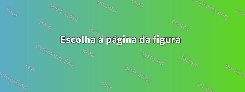 Escolha a página da figura 