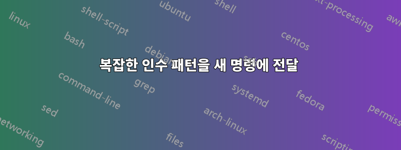 복잡한 인수 패턴을 새 명령에 전달