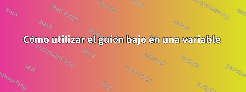 Cómo utilizar el guión bajo en una variable