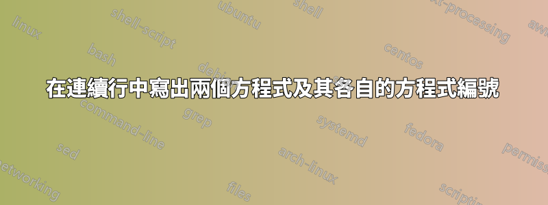 在連續行中寫出兩個方程式及其各自的方程式編號