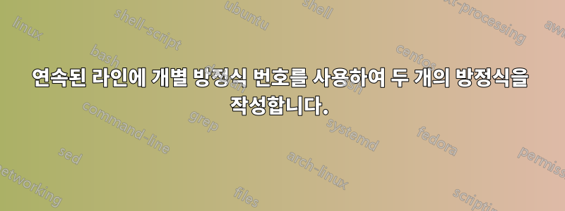 연속된 라인에 개별 방정식 번호를 사용하여 두 개의 방정식을 작성합니다.