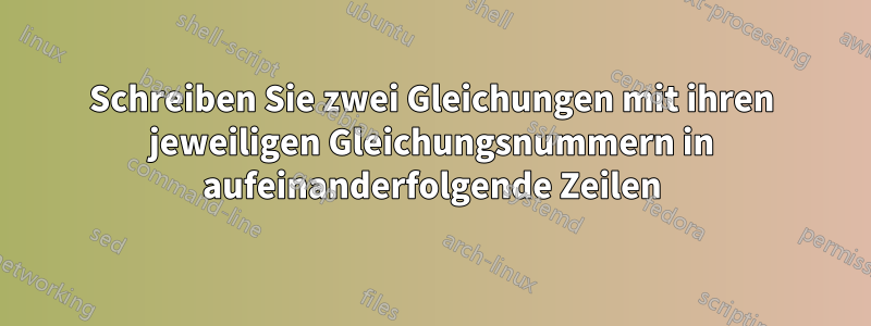 Schreiben Sie zwei Gleichungen mit ihren jeweiligen Gleichungsnummern in aufeinanderfolgende Zeilen