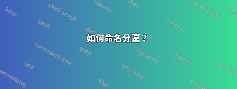 如何命名分區？
