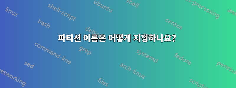 파티션 이름은 어떻게 지정하나요?