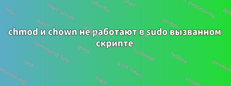 chmod и chown не работают в sudo вызванном скрипте