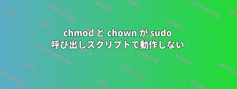 chmod と chown が sudo 呼び出しスクリプトで動作しない