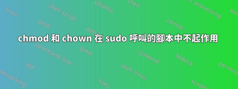 chmod 和 chown 在 sudo 呼叫的腳本中不起作用