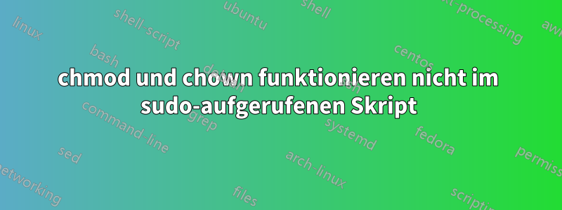 chmod und chown funktionieren nicht im sudo-aufgerufenen Skript