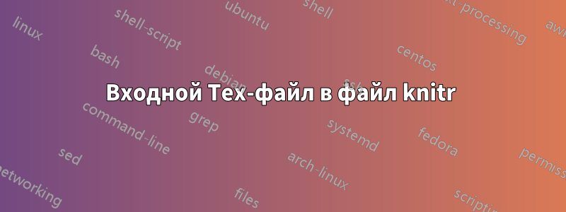 Входной Tex-файл в файл knitr