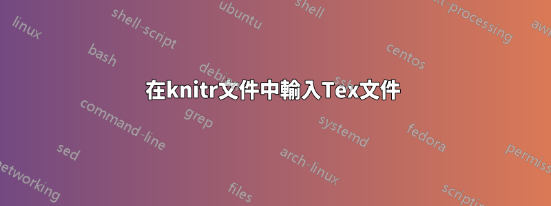 在knitr文件中輸入Tex文件