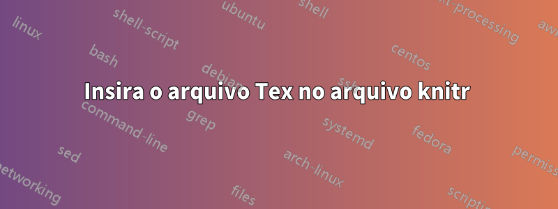 Insira o arquivo Tex no arquivo knitr