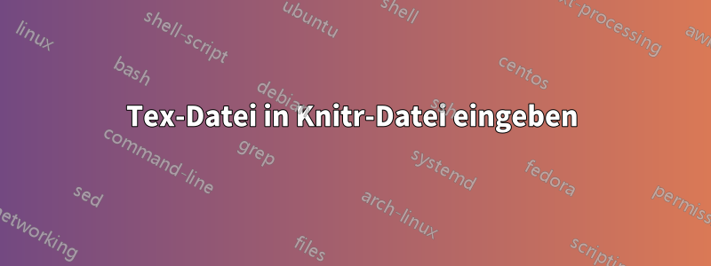 Tex-Datei in Knitr-Datei eingeben