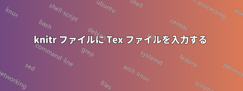 knitr ファイルに Tex ファイルを入力する