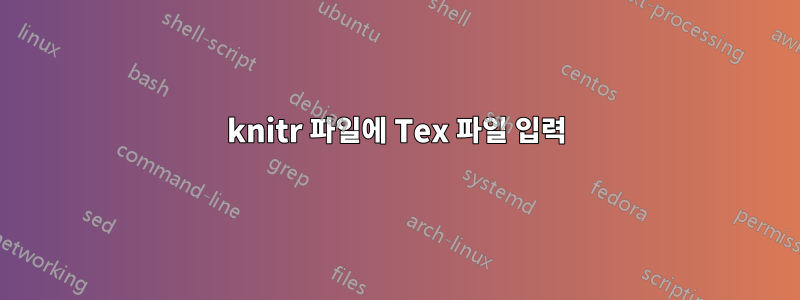 knitr 파일에 Tex 파일 입력