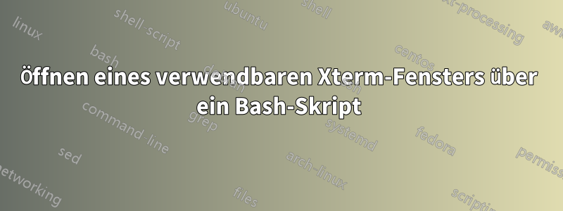 Öffnen eines verwendbaren Xterm-Fensters über ein Bash-Skript