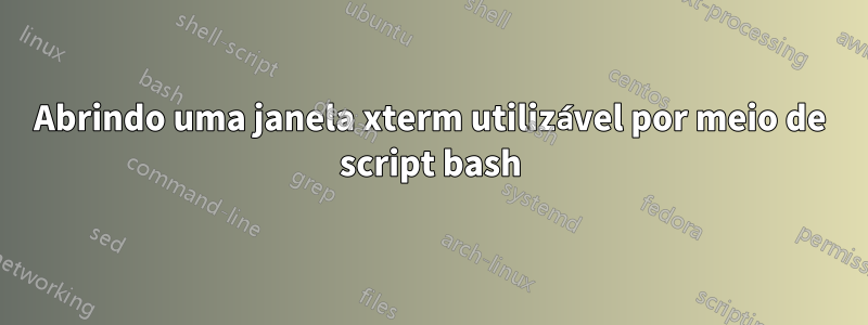 Abrindo uma janela xterm utilizável por meio de script bash