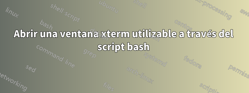 Abrir una ventana xterm utilizable a través del script bash