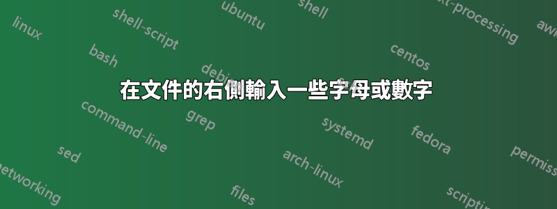 在文件的右側輸入一些字母或數字